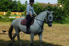 DSCN1715