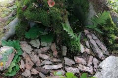 IMG_20210719_103621