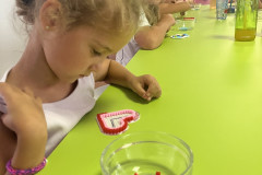 LT-I