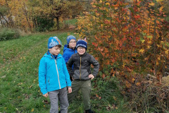 IMG_20221026_121837