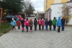 IMG_20191029_125554